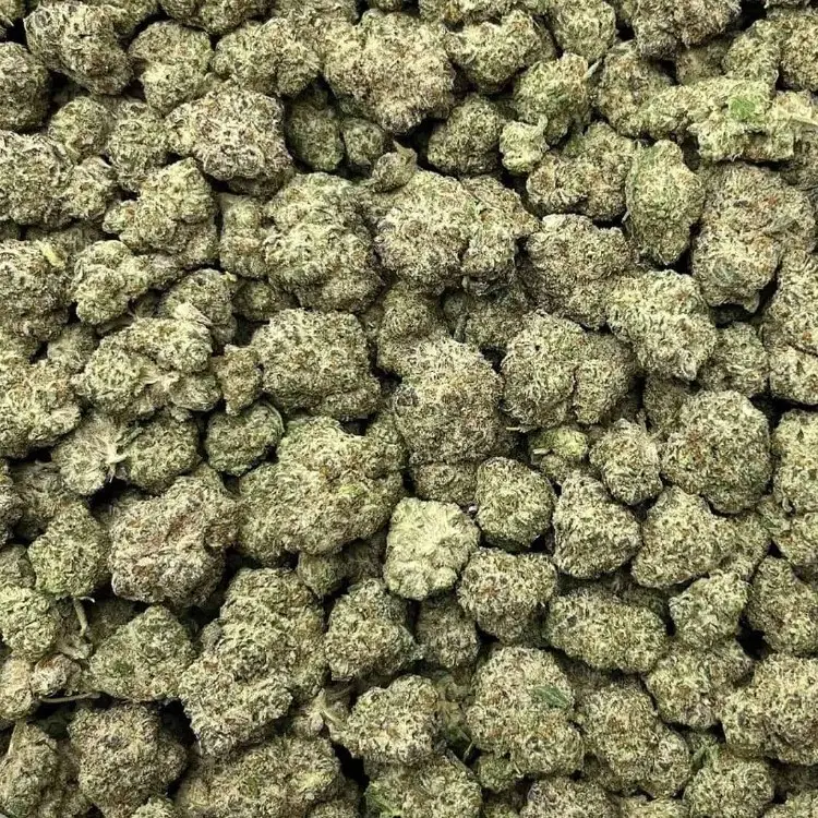 1g doob tube 1g doob tube